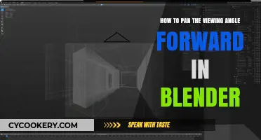 Adjusting Camera Views: Pan Forward in Blender