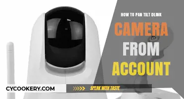 Adjusting Your D-Link Camera: Pan & Tilt Functionality