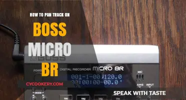Pan Tracking on Boss Micro BR: A Step-by-Step Guide