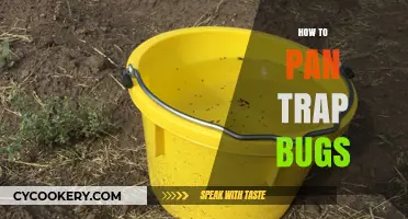 Pan Trapping: An Easy Guide to Catching Bugs