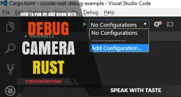 Master Panning with Debug Camera in Rust: Tips and Tricks