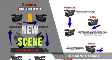 Pan Up to New Scenes: Techniques for Seamless Transitions