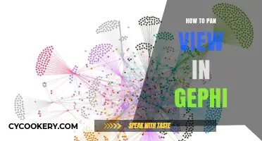 Navigating Gephi: Pan View Functionality Explained