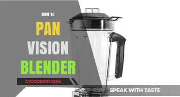 Mastering the Pan Vision Blender: A Step-by-Step Guide