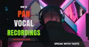 Panning Vocal Recordings: Techniques for a Professional Sound