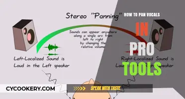 Panning Vocals in Pro Tools: A Step-by-Step Guide