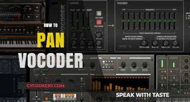 The Art of Panning Vocoders: A Guide to Spacing and Depth