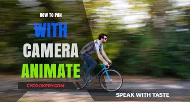 Mastering Camera Panning: Animate with Panache
