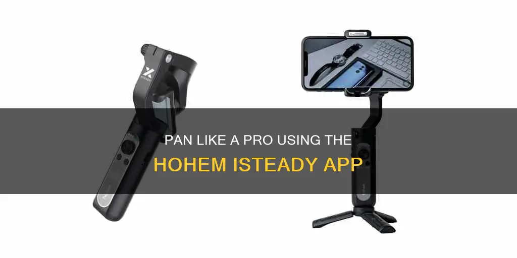 how to pan with the hohem isteady app