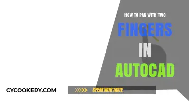 Mastering the Pan Function in AutoCAD with Two Fingers