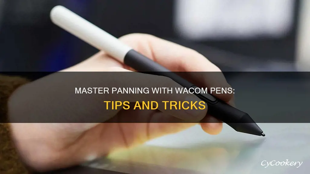 how to pan with wacom pen
