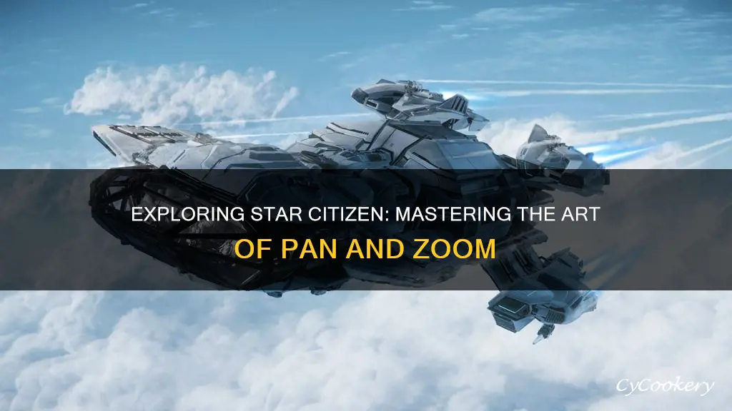 how to pan zoom from outside ship star citizen