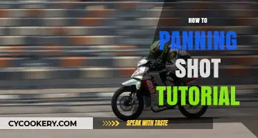 Mastering the Panning Shot: A Comprehensive Guide