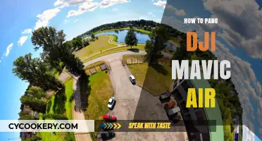 Mavic Air Pano Mode: How to Capture Stunning Panoramas
