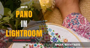 Panning for Gold: Lightroom's Panorama Stitching Secrets