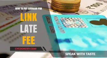 Avoid Late Fees: Link Aadhaar and PAN Now