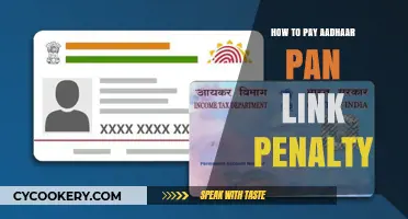Avoiding Aadhaar-PAN Link Penalty: A Guide