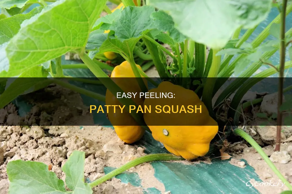 how to peel a patty pan squash