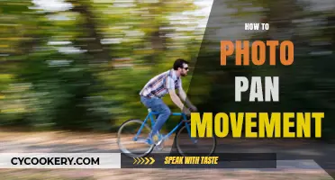 Capturing Motion: Panning Photography Techniques