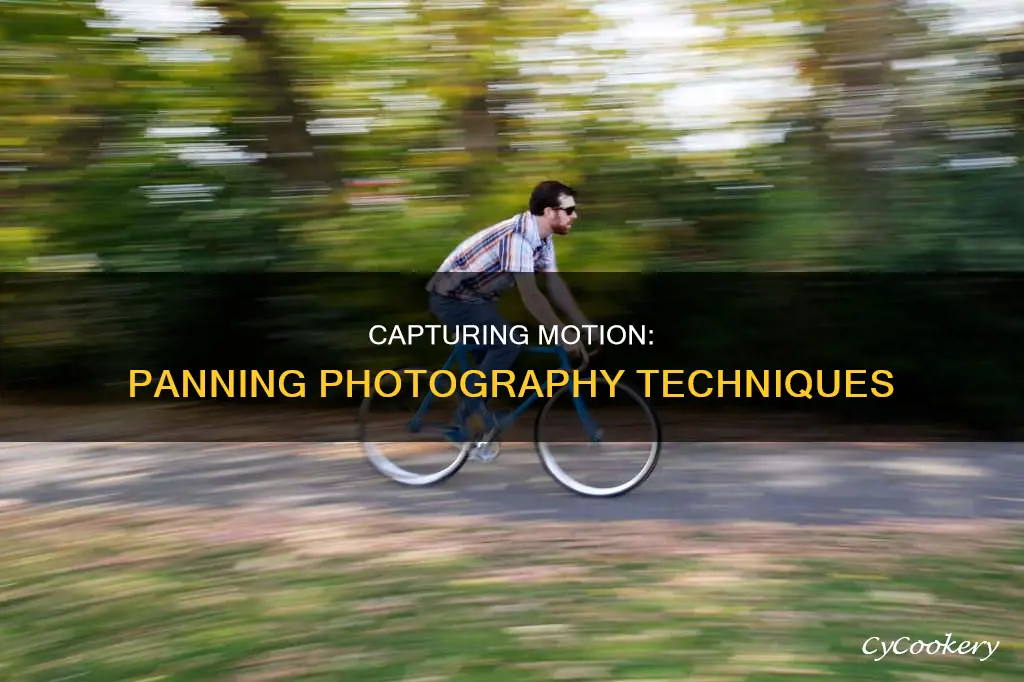 how to photo pan movement
