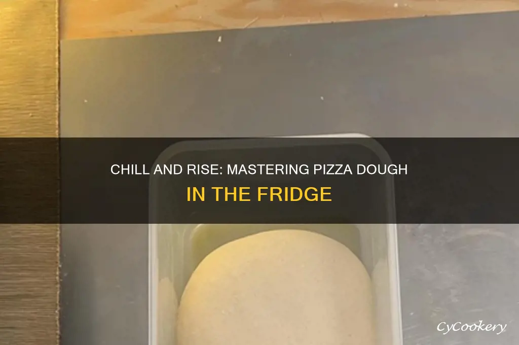 how to pizza dough rise in refrigerator