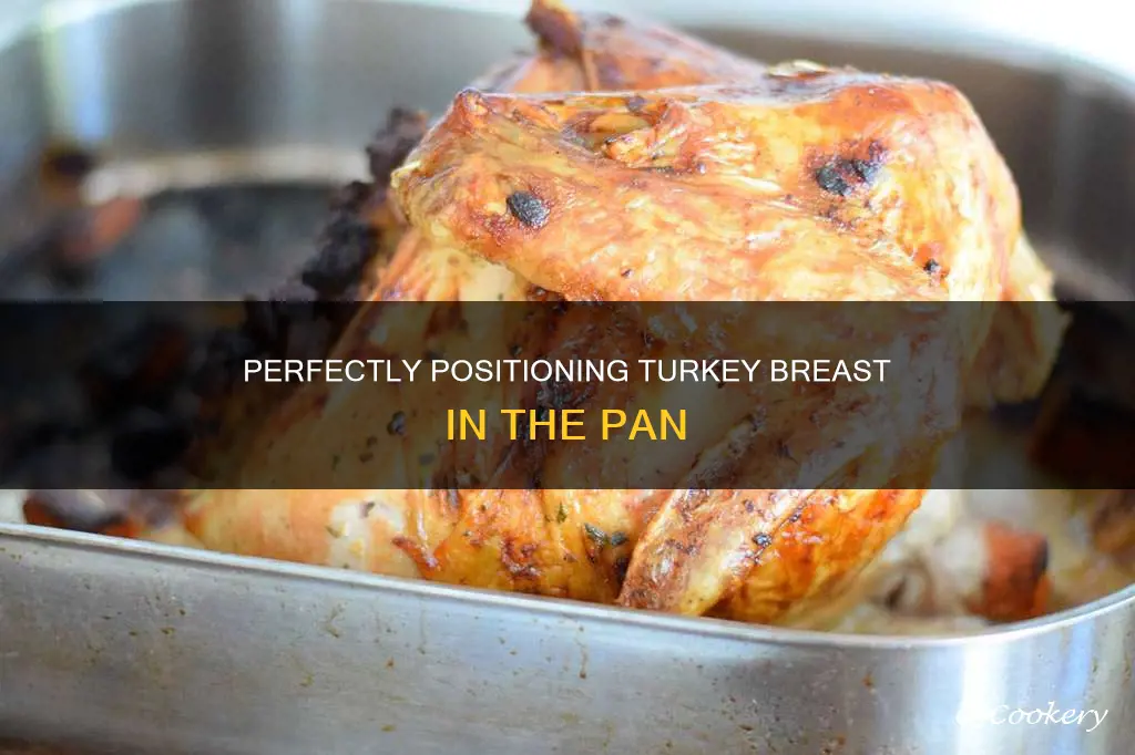 how to place a turkey breast in the pan