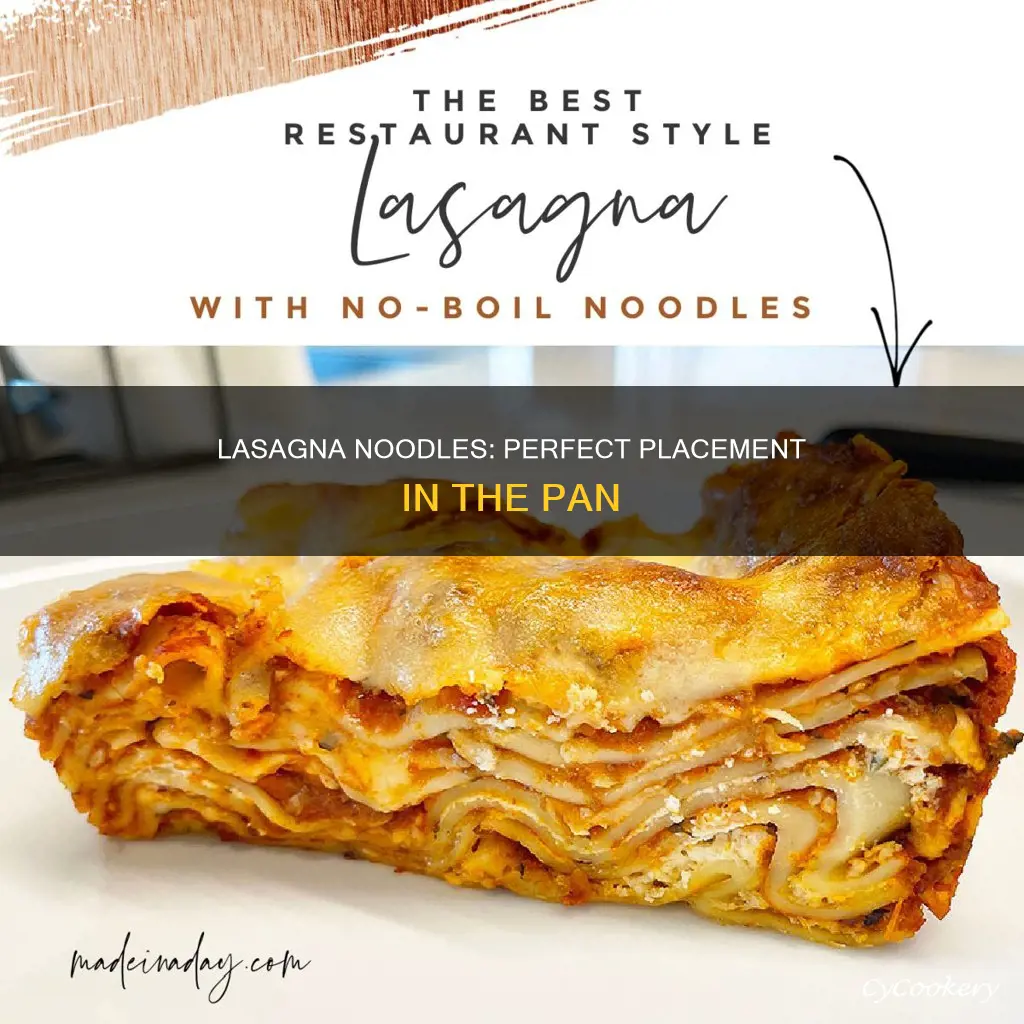how to place lasagna noodles in pan