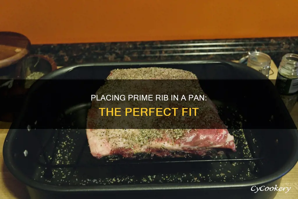 how to place prime rib in pan