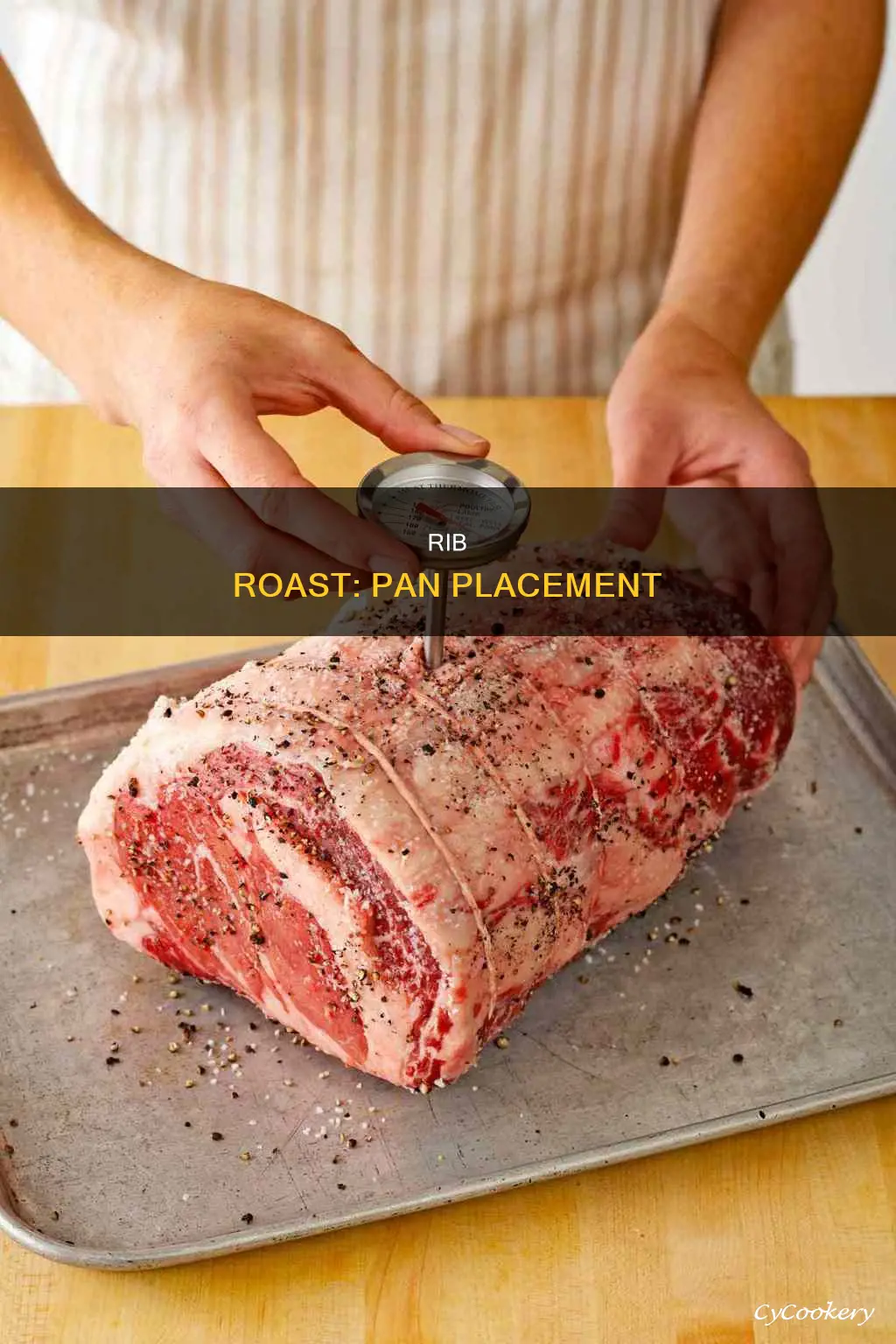 how to place rib roast in pan