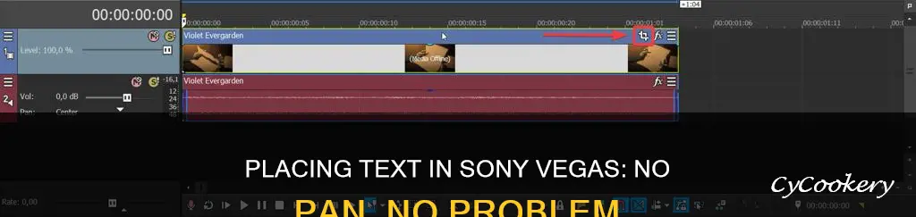 how to place text in sony vegas without pan