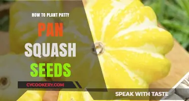 Planting Patty Pan Squash: A Step-by-Step Seed Guide