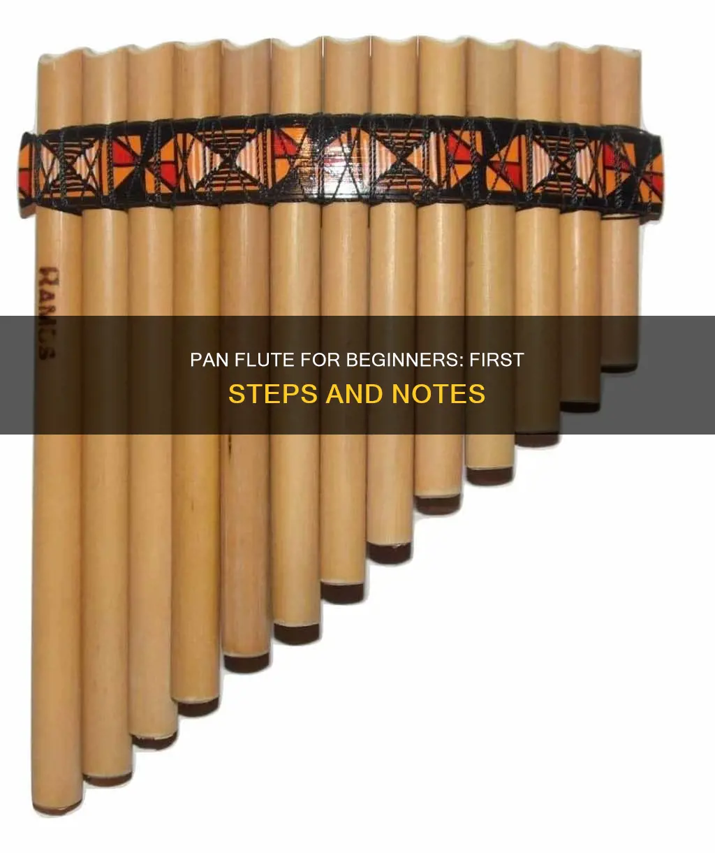 how to play a pan flute for beginners