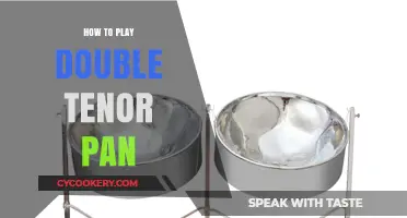 Mastering the Double Tenor Pan