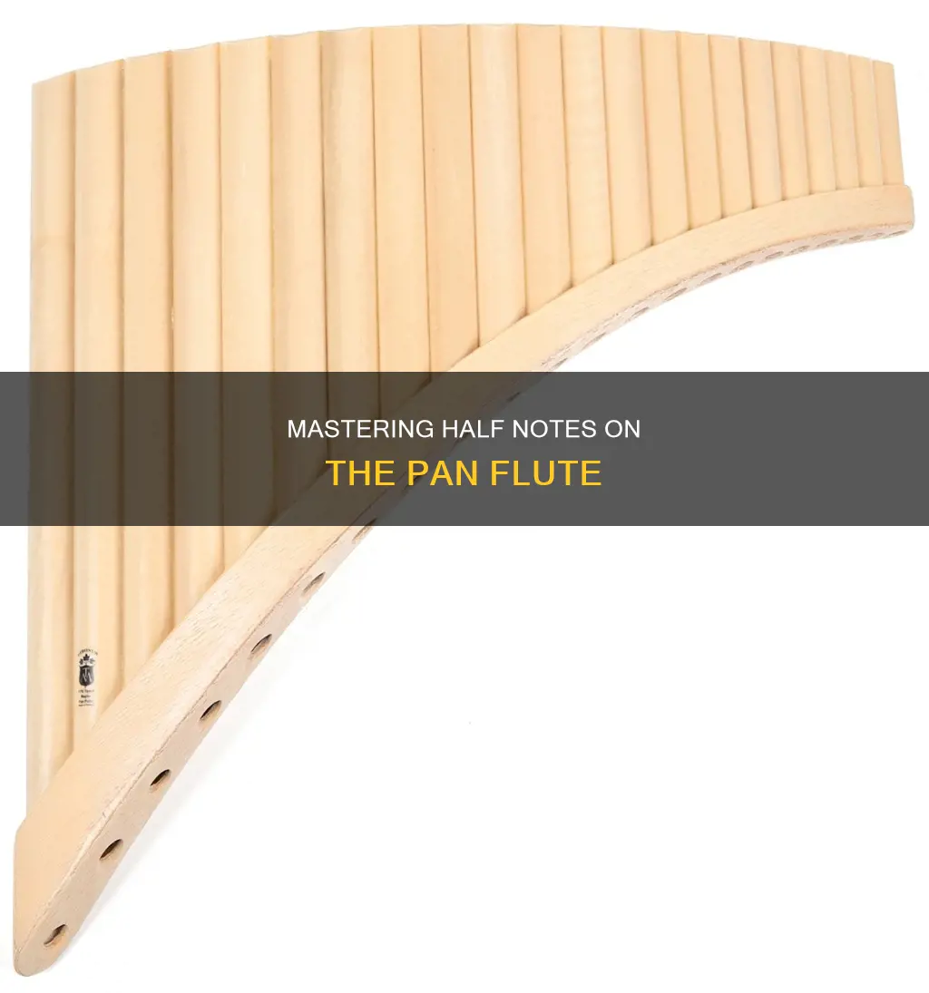 how to play half notes with pan flute