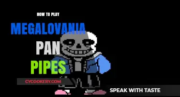 Mastering Megalovania on Pan Pipes: A Guide
