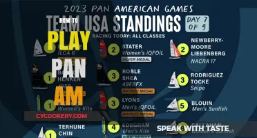 Strategies to Master the Pan Am Flight Game