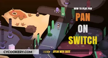 Pan-Pan: A Guide to Playing on Switch