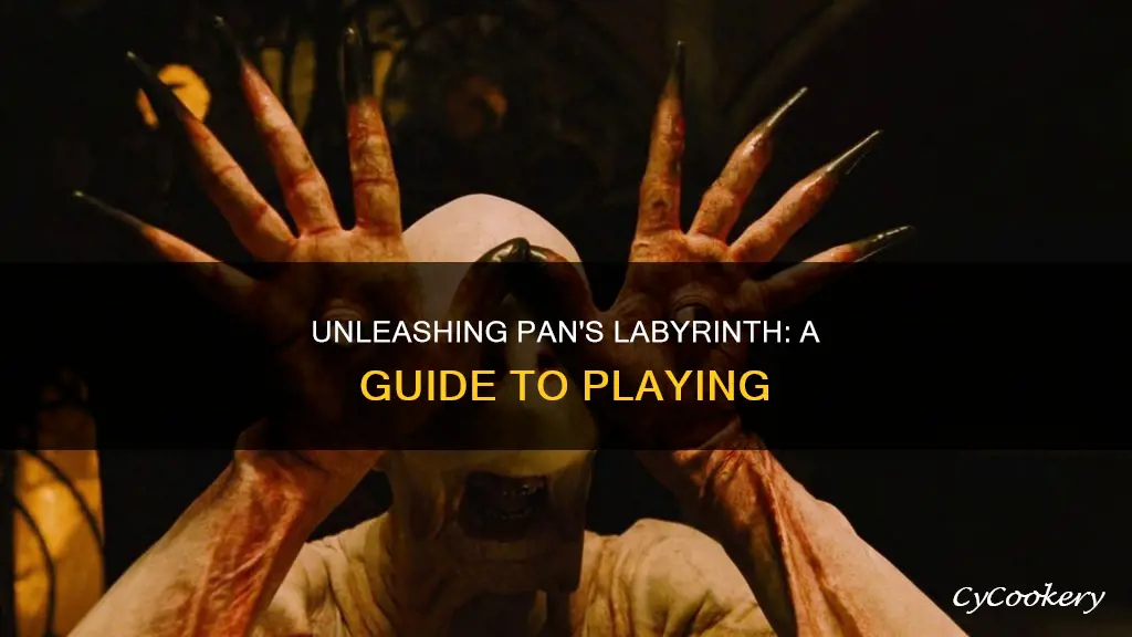how to play pan