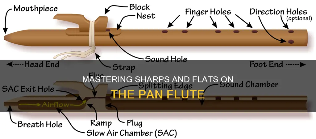 how to play sharps and flats on pan flute