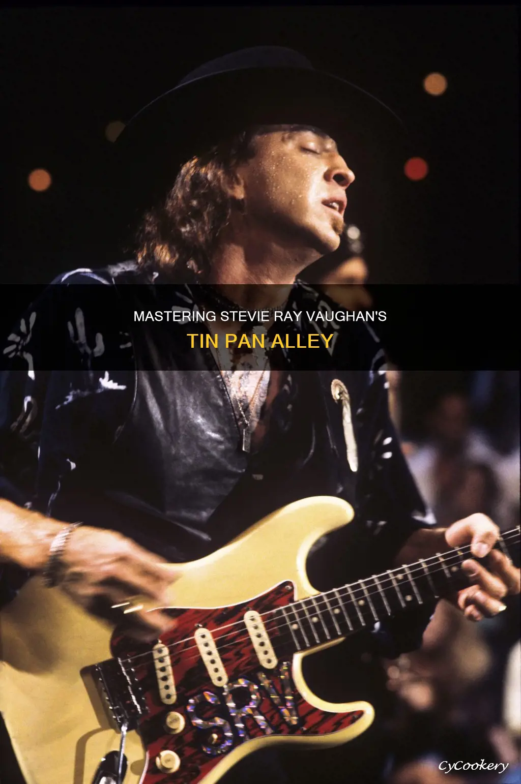 how to play stevie ray vaughan tin pan alley