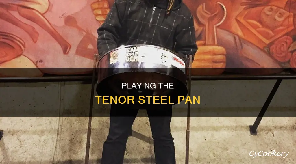 how to play tenor steel pan