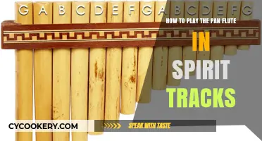 Playing the Pan Flute in Spirit Tracks: A Guide
