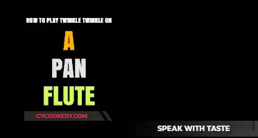 Learn to Play 'Twinkle Twinkle' on a Pan Flute