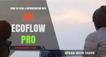 Eco-Friendly Power: Plugging Your Fridge into an EcoFlow Pro