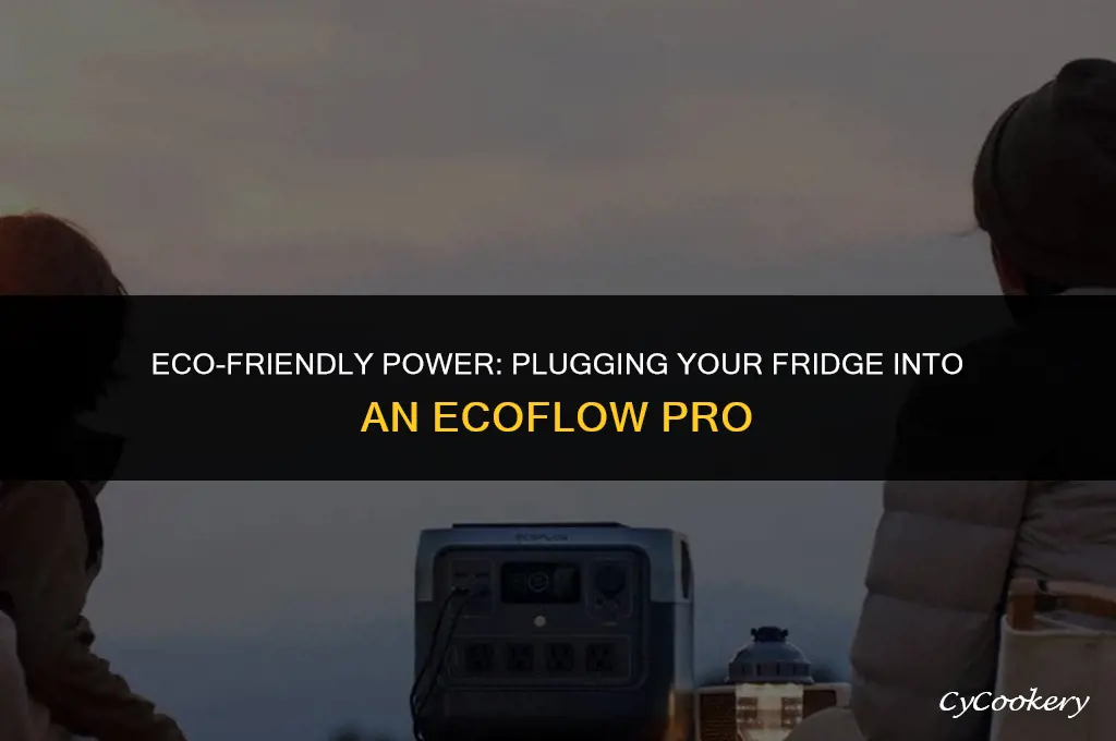 how to plug a refrigerator into an ecoflow pro