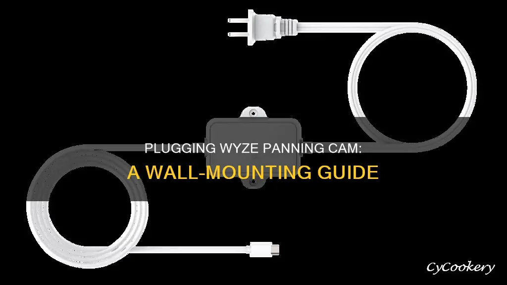 how to plug wyze panning cam into wall