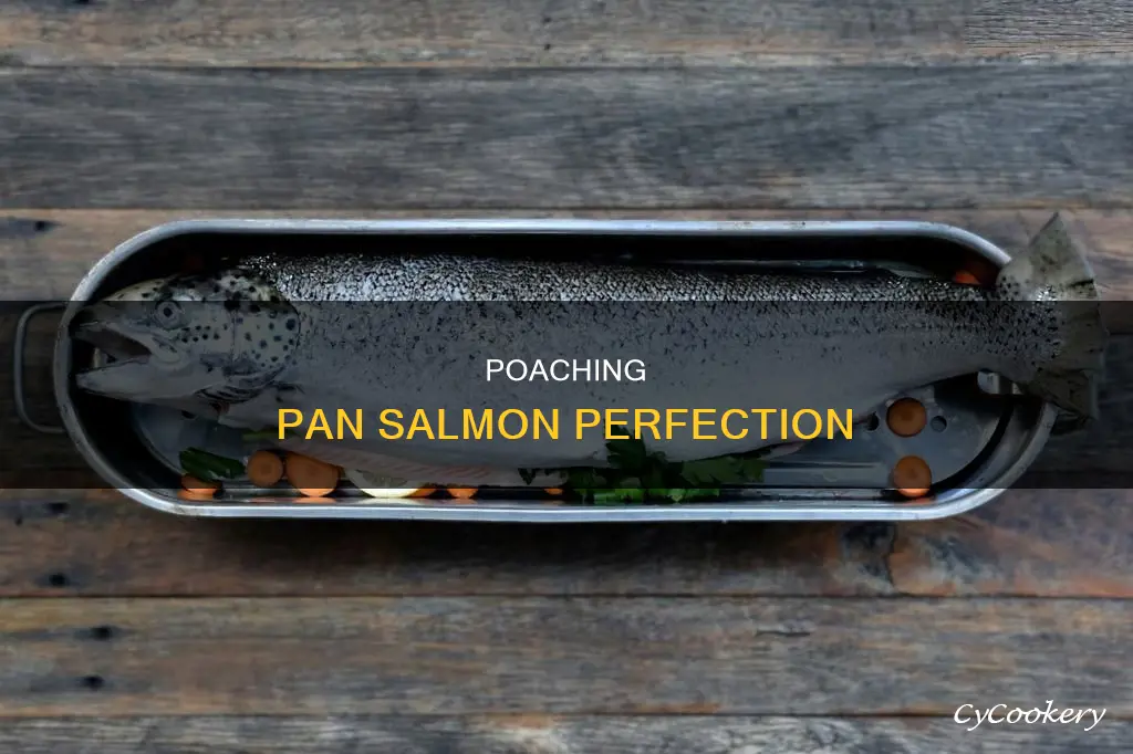 how to poach salmon in a poaching pan
