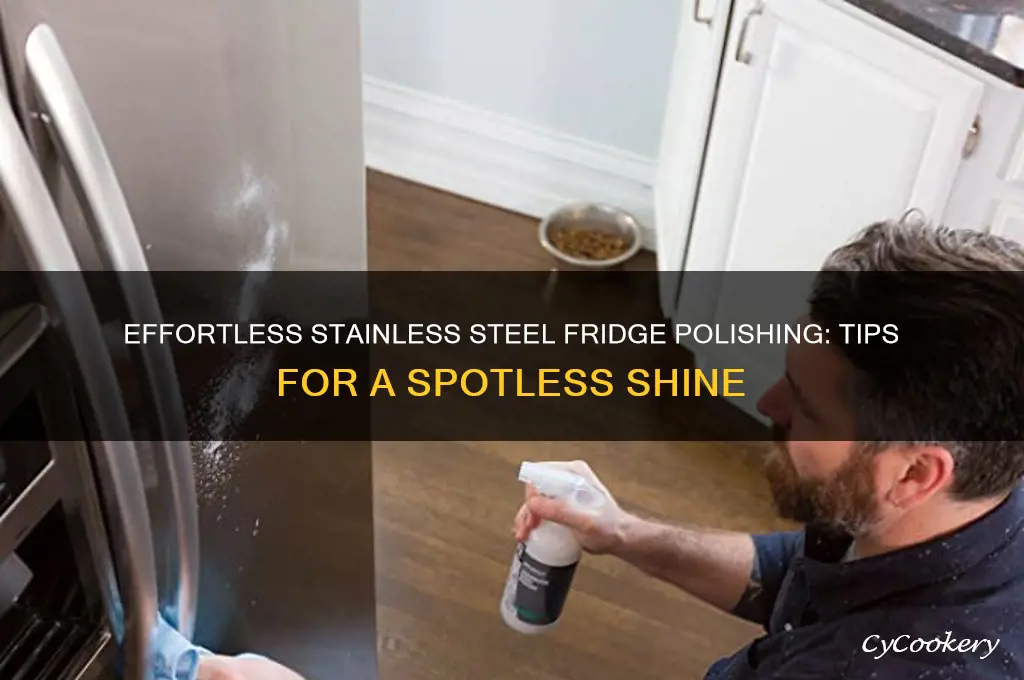 how to polish a stainless steel refrigerator
