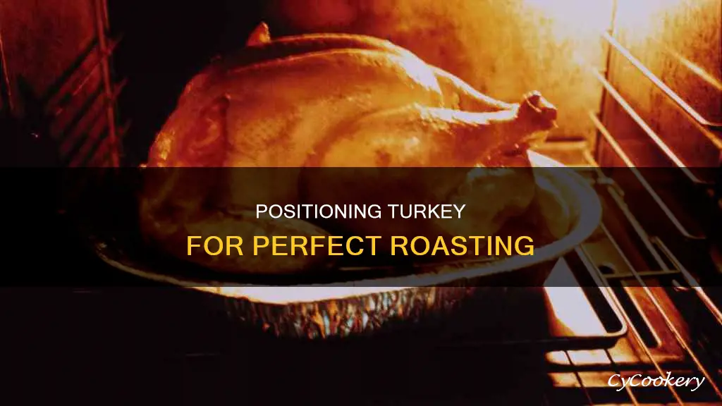 how to position turkey in roasting pan