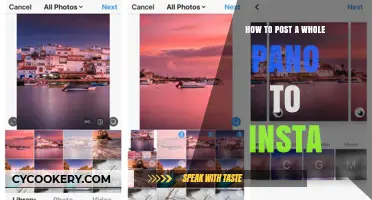 Uploading Panoramic Photos to Instagram: A Step-by-Step Guide